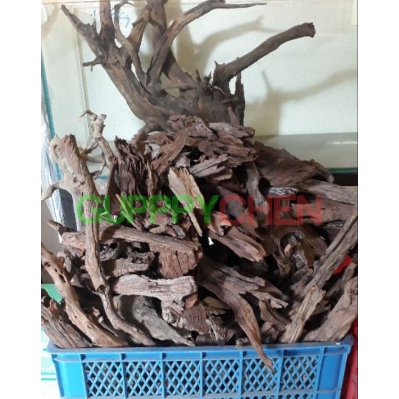 Lũa Rừng, Lũa Gỗ, Lũa Thủy Sinh - Dùng Để Setup Trang Trí Layout Hồ Cá Thủy Sinh