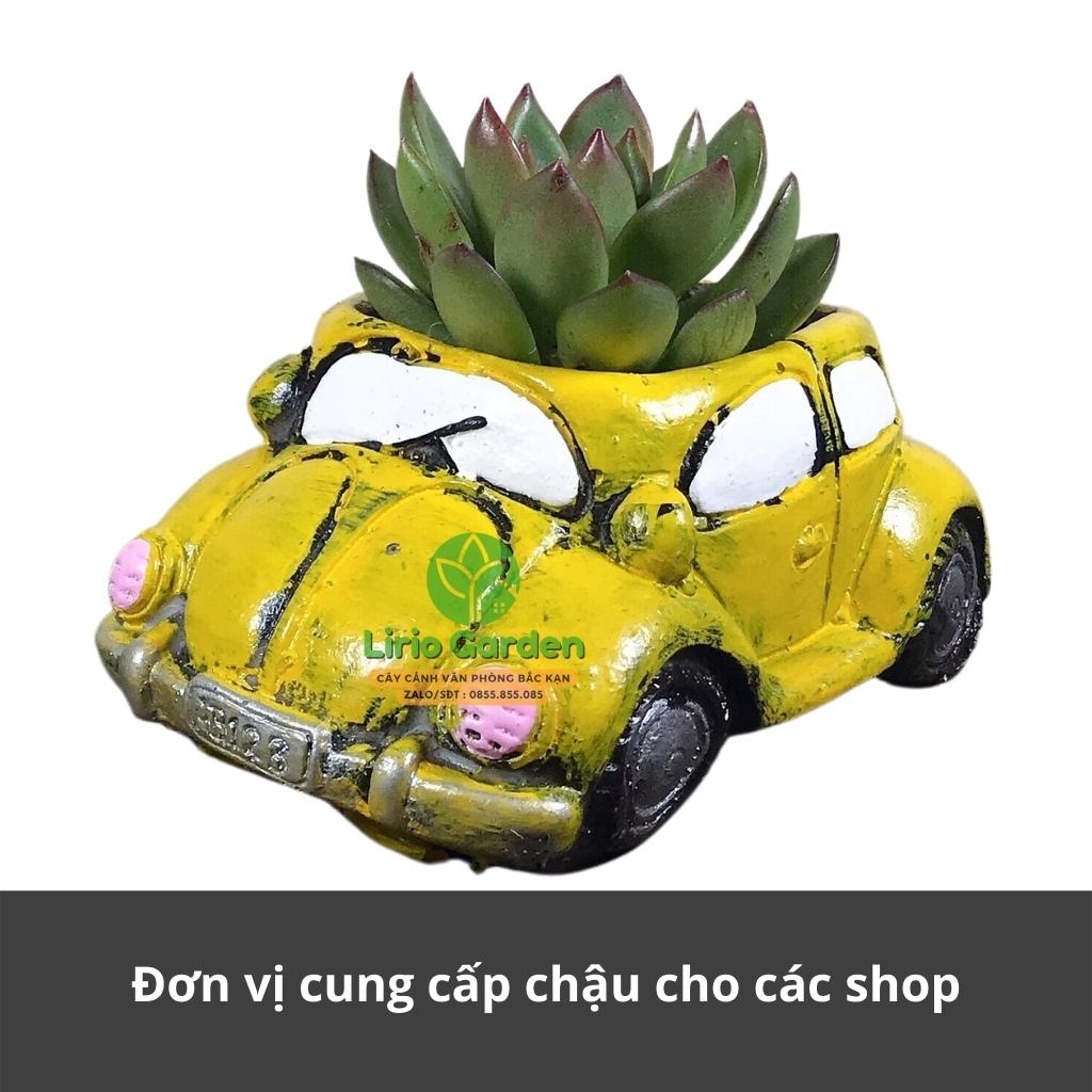 chậu trồng cây hình ô tô cổ [ tặng kèm đất trồng cây ]