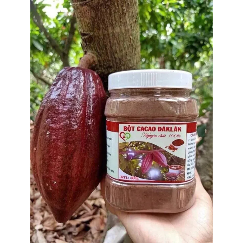 Hũ bột cacao đaklak 500gram