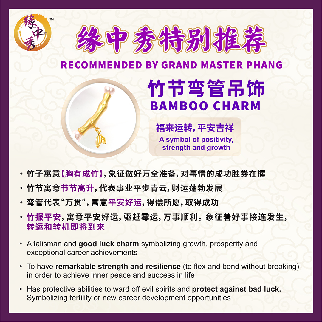 Louisa Abundance (Bamboo) Bracelet【Yuan Zhong Siu Feng Shui 缘中秀风水】 | Lazada  Singapore