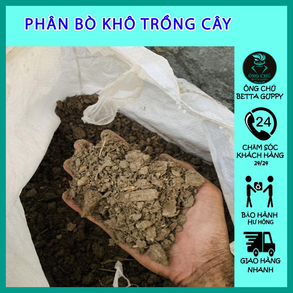 Phân bò hữu cơ - trồng cây