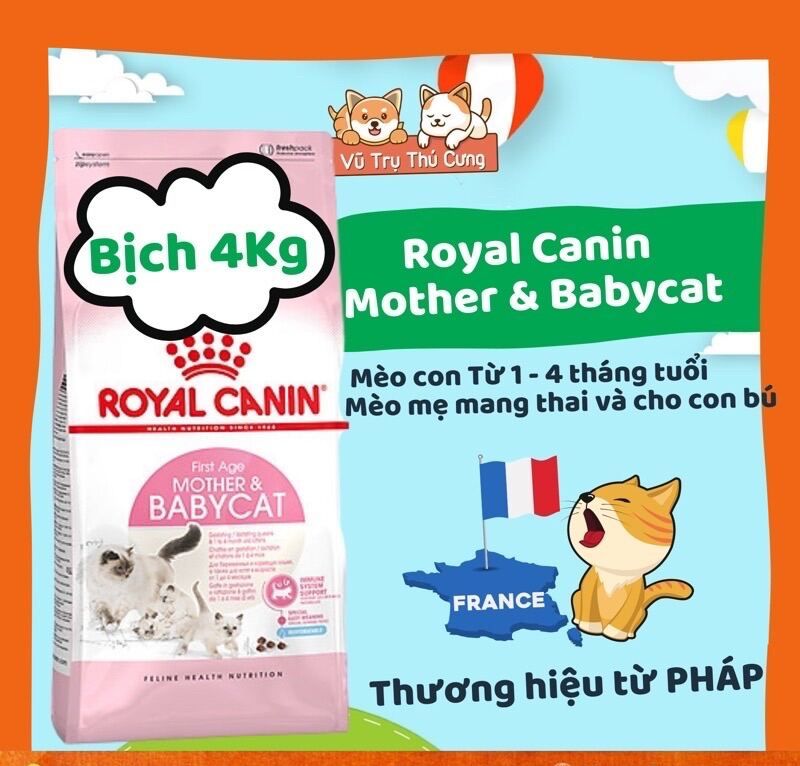 Royal Canin mother & Babycat grain food for kitten, cat pregnant mother