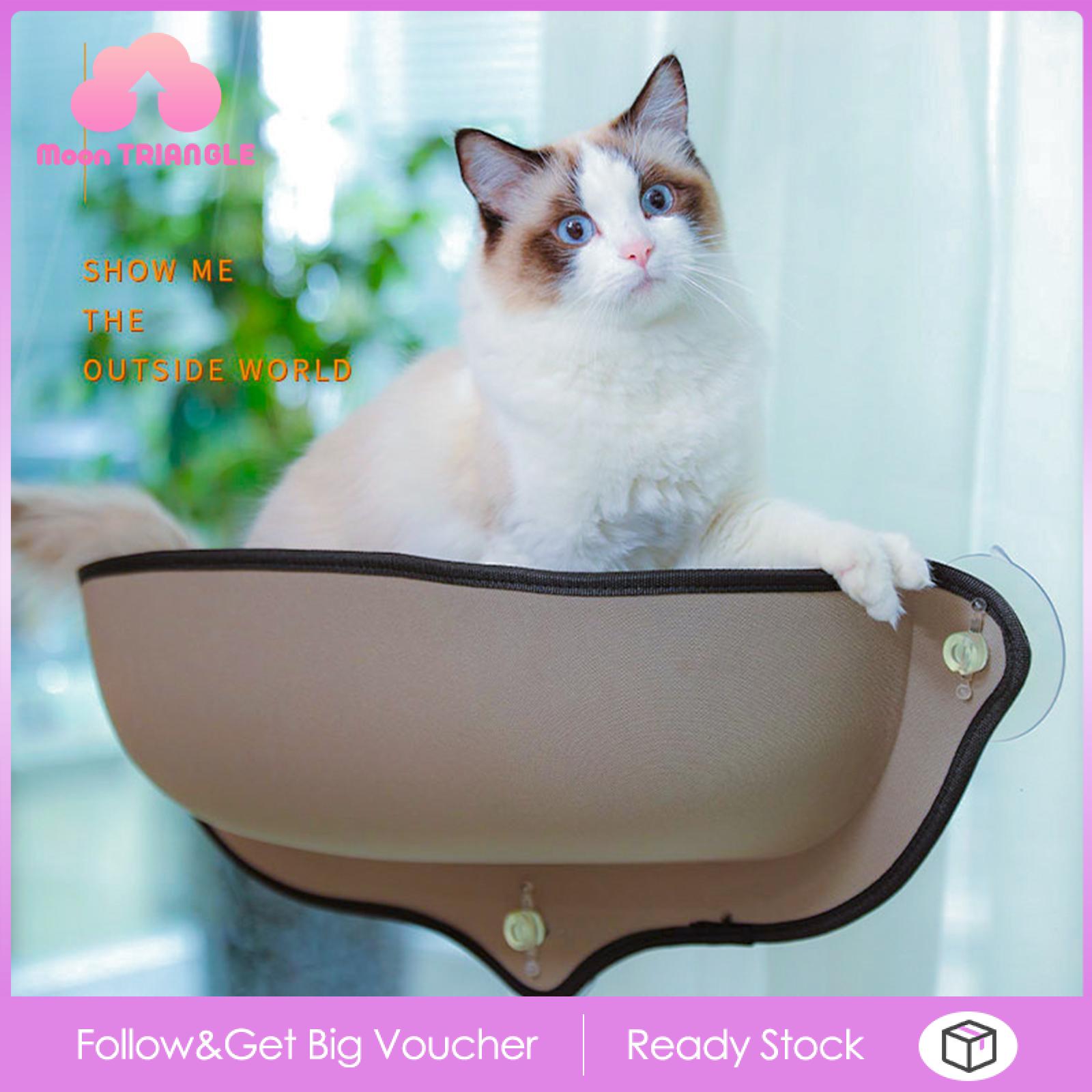 Cat on sale window pod