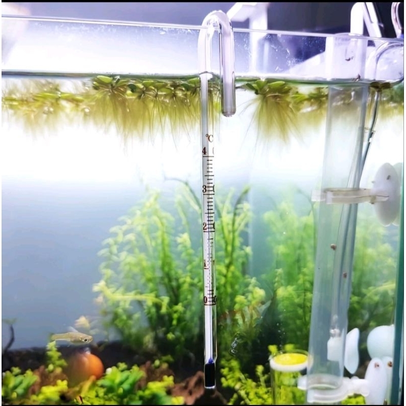 Termometer RECENT RC T 009 Alat Pengukur Suhu Termometer Gantung Aquarium