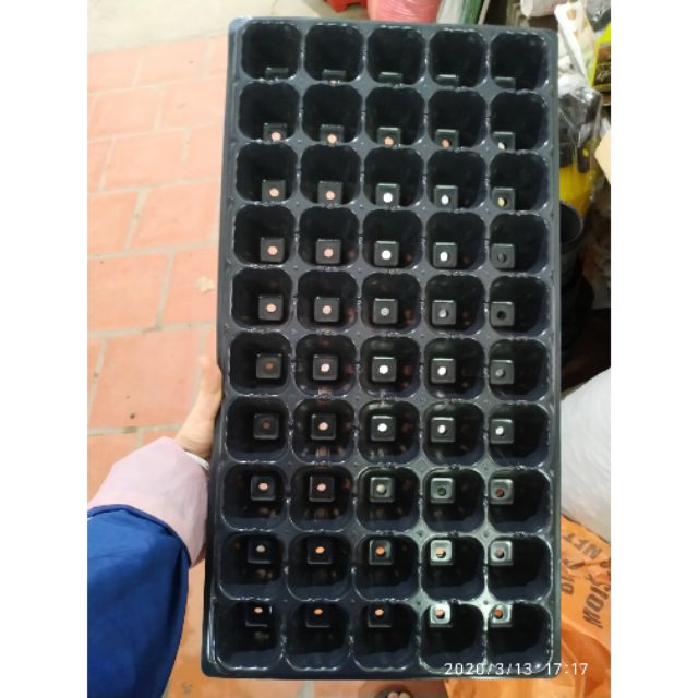 BỘ 5 KHAY ƯƠM HẠT GIỐNG 50 LỖ.