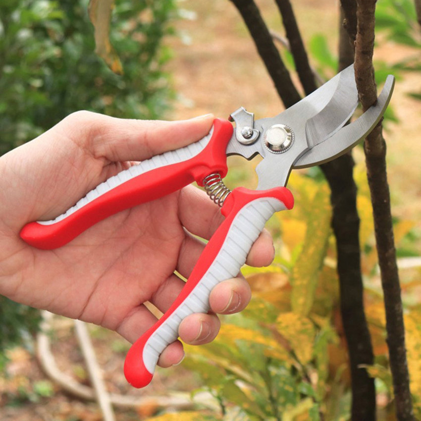 Pruner garden s/c/i/s/s/o/r/s professional sharp bypass pruning shears tree trimmers secateurs hand clippers for garden beak s/c/i/s/s/o/r/s