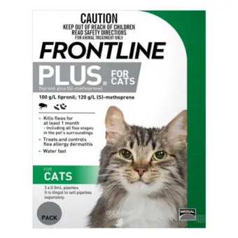 frontline spot on for cats 6 pipettes
