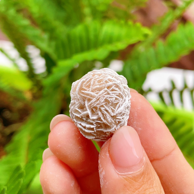 Hoa hồng sa mạc (Desert Rose) viên lẻ, Tinh thể đá