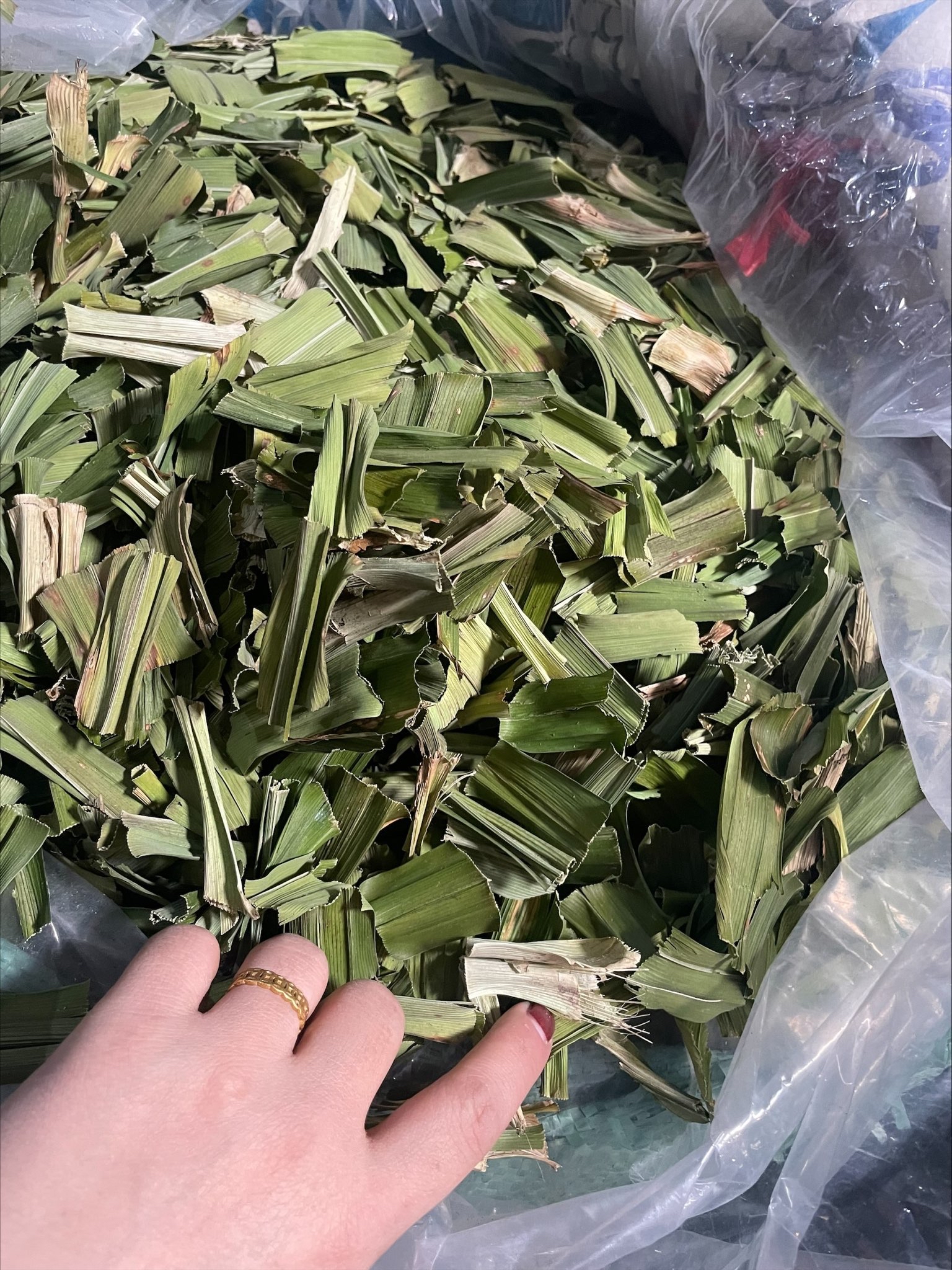 100GR Lá nếp sấy khô ( lá dứa sấy khô)