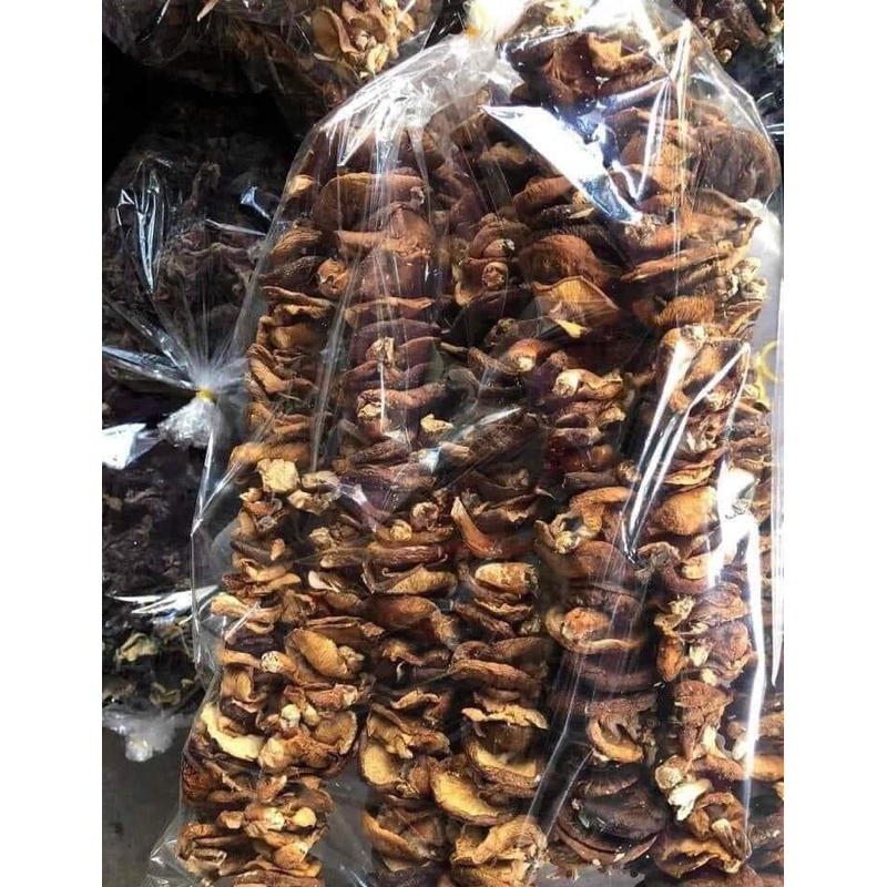 Nấm hương rừng
