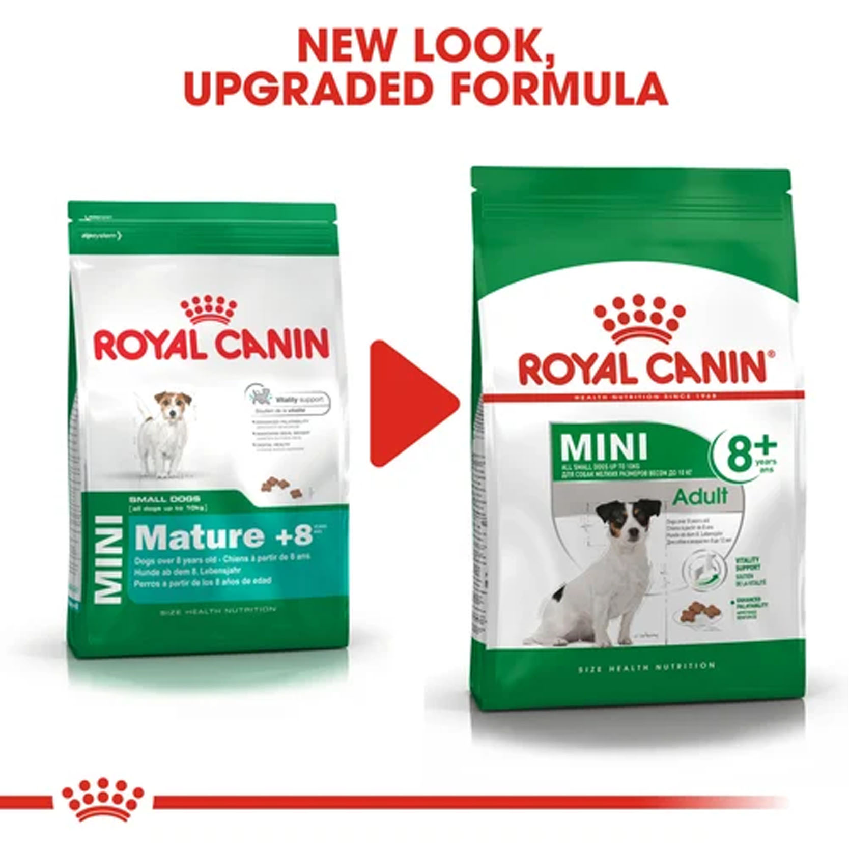 royal canin mini adult 8