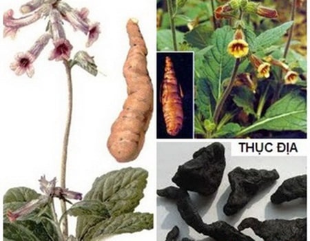 Thục Địa Loại Ngon (Nguyên Liệu Nấu Sâm)