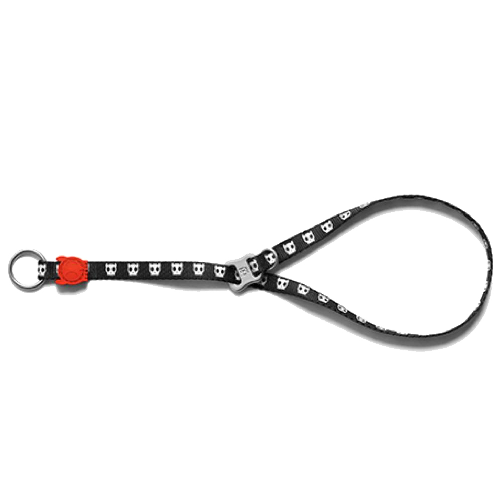 Obedience Collar Large (Training Collar) Lazada