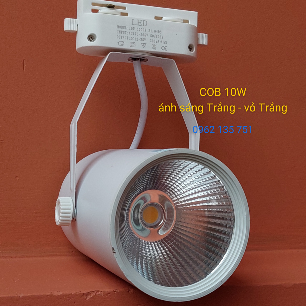 Đèn Rọi Ray Mắt Ếch 7w và COB 10W