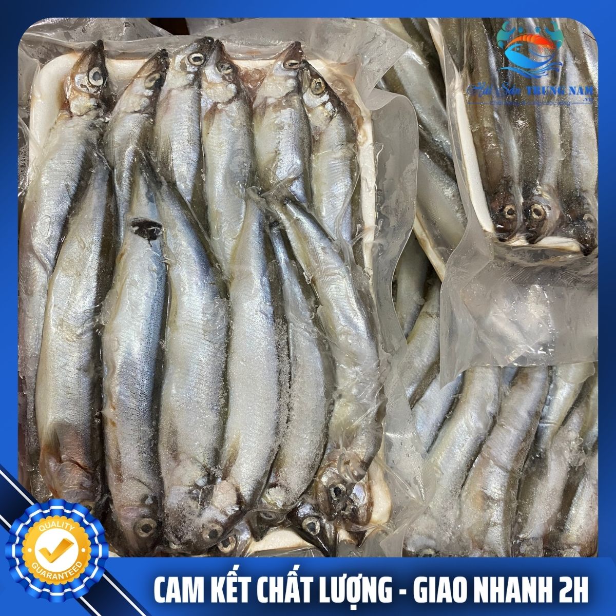 Cá Trứng Nauy Đông Lạnh 17-20con Khay 500Gr