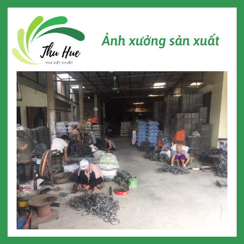 combo 5 chiếc bẫy chuột bán nguyễn cỡ vừa