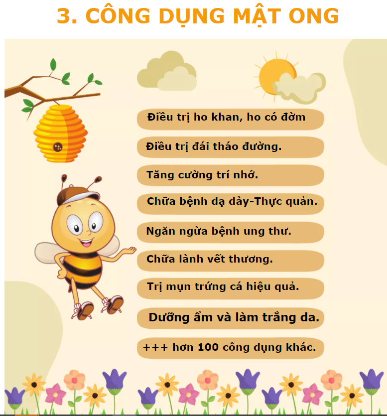 Mật ong Tam Đảo chai 800ml , 1 Lít, 500ml, 100 ml