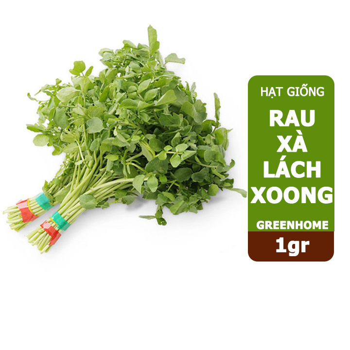 Hạt giống rau Xà lách Xoong ,gói 1g ,dễ trồng, thu hoạch nhanh R01