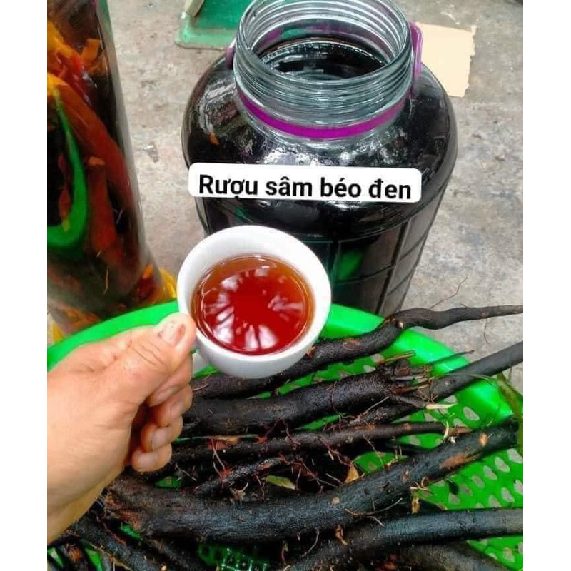 Sâm Béo Đen tươi, khô (Sâm Bảo Ngọc, Sâm Một Rễ, Sâm Đất) 1kg Hút Chân Không
