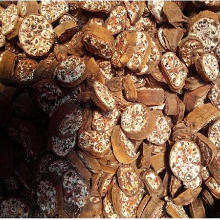 chuối hột rừng
