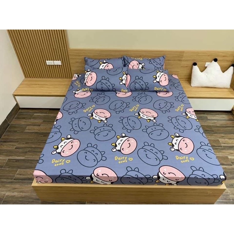 [FreeshipMAX] Poly Cotton chăn phao dày loại 1 mẫu mới (được chọn mẫu)