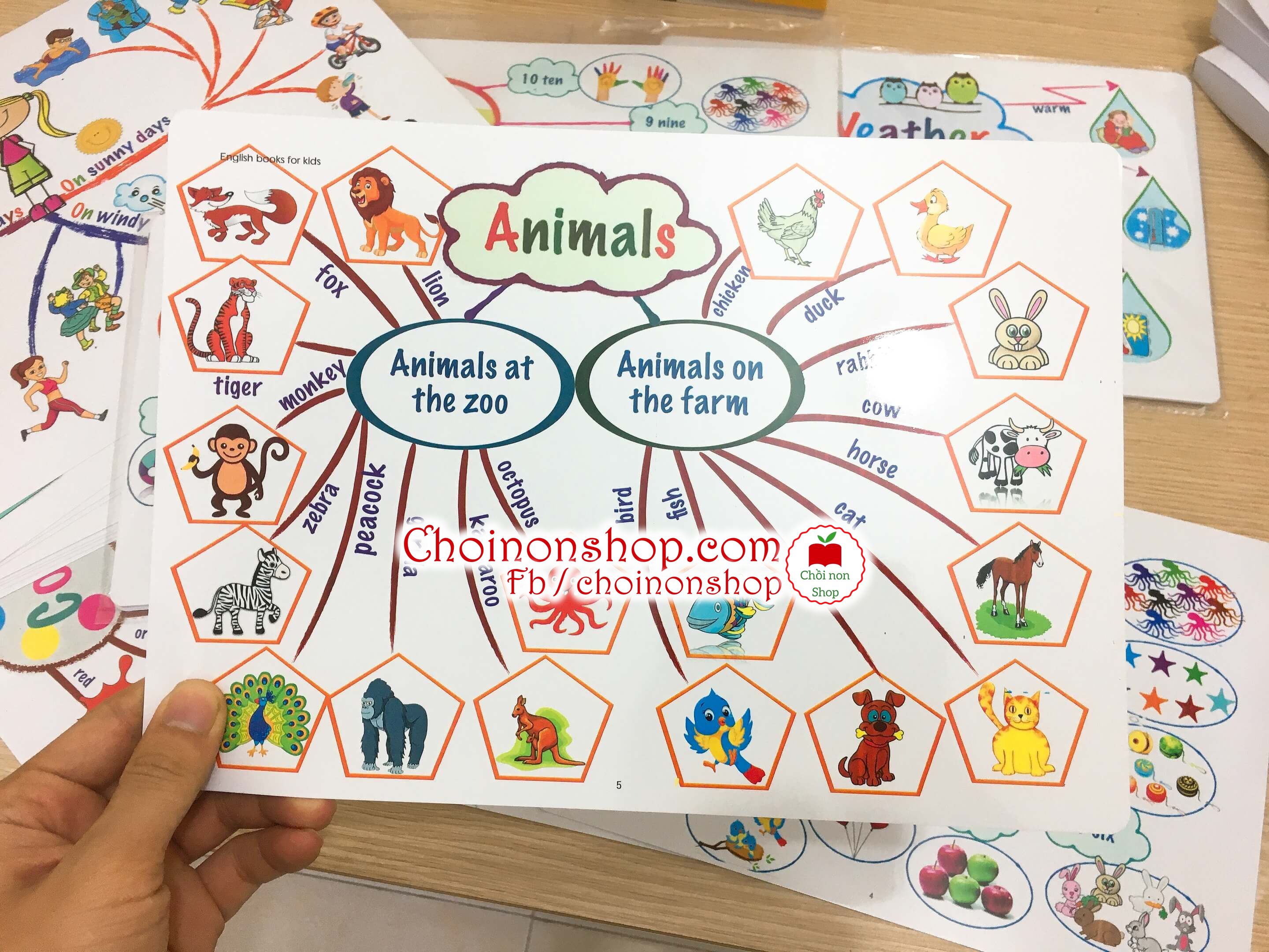 Học liệu - Mind map - 11 chủ đề
