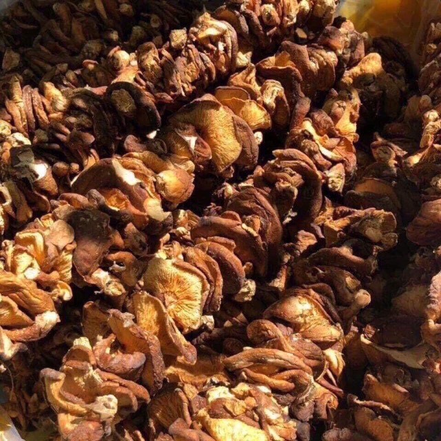 500g nấm hương rừng