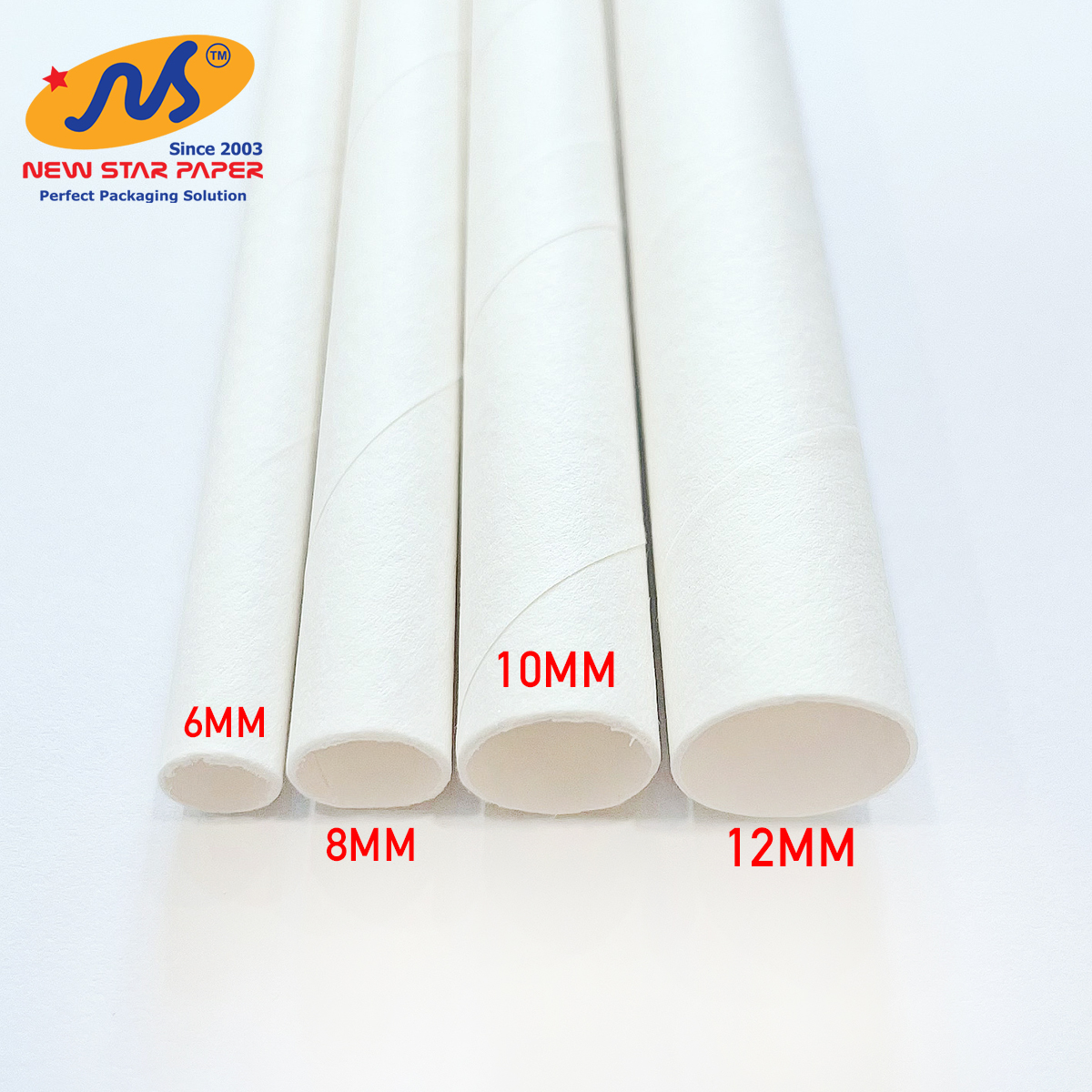 Phi 12 - Hộp 250 ống hút giấy làm từ sợi mía
