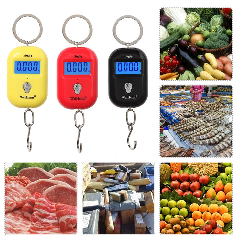 【InnovateWorld】25Kg X 5g Keychain Scale Mini LCD Portable Electronic ...