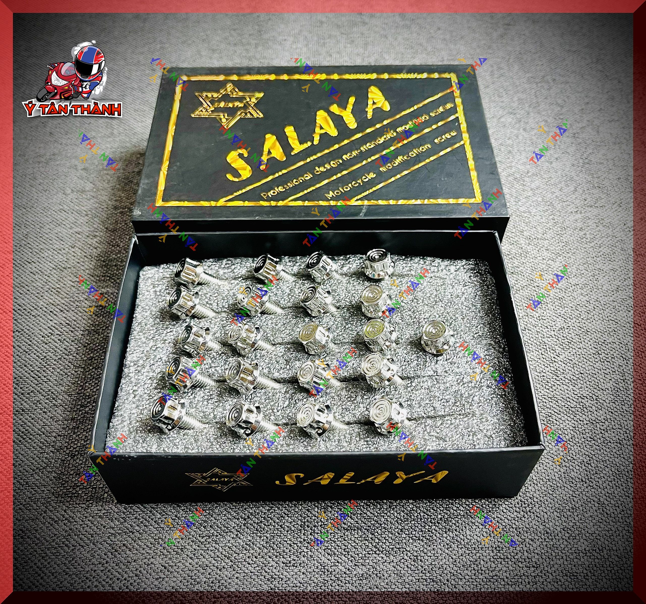 Bộ ốc lốc máy salaya v2 cho exciter 150,155vva ms46