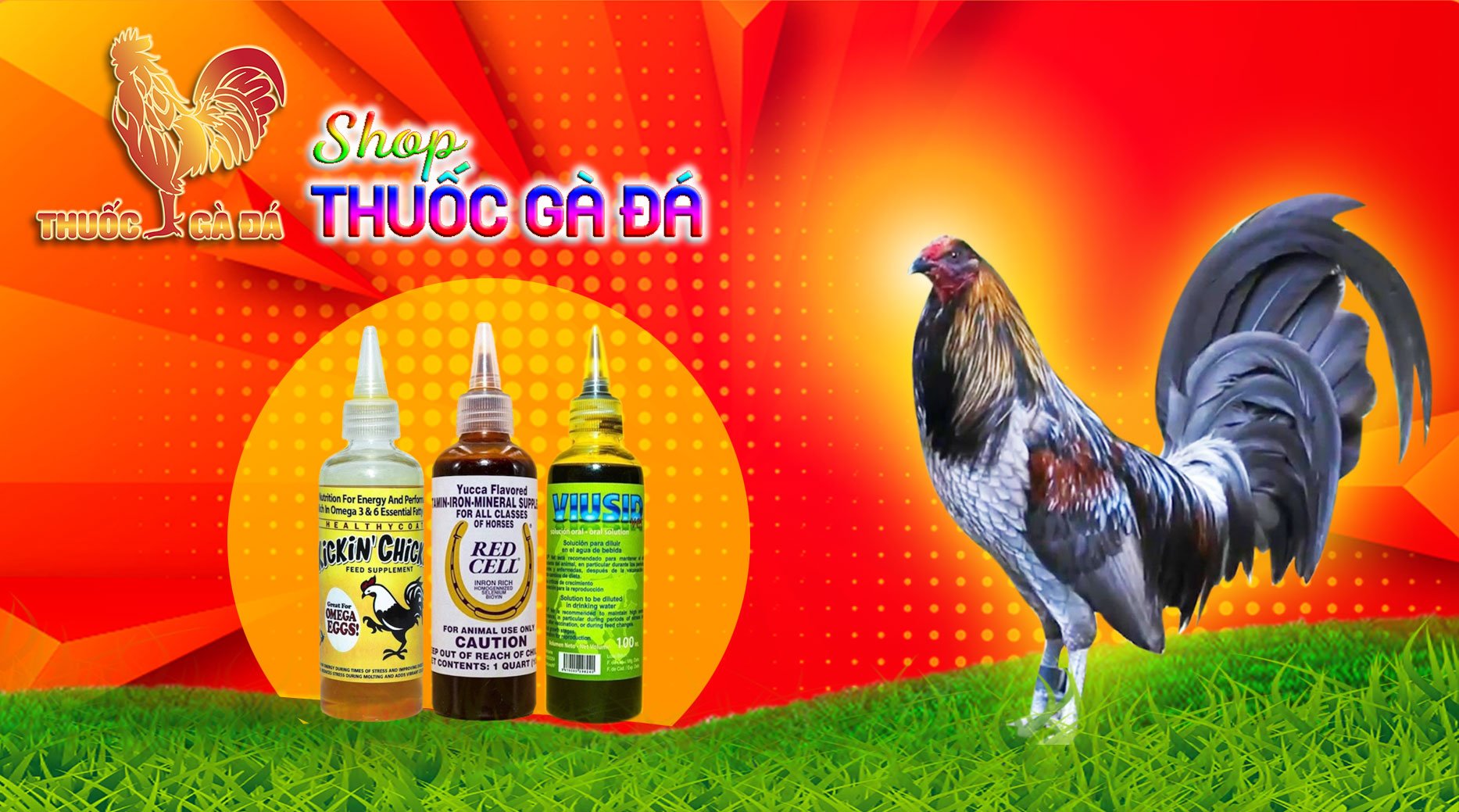 Miếng Dán Ké Chậu cho gà đá