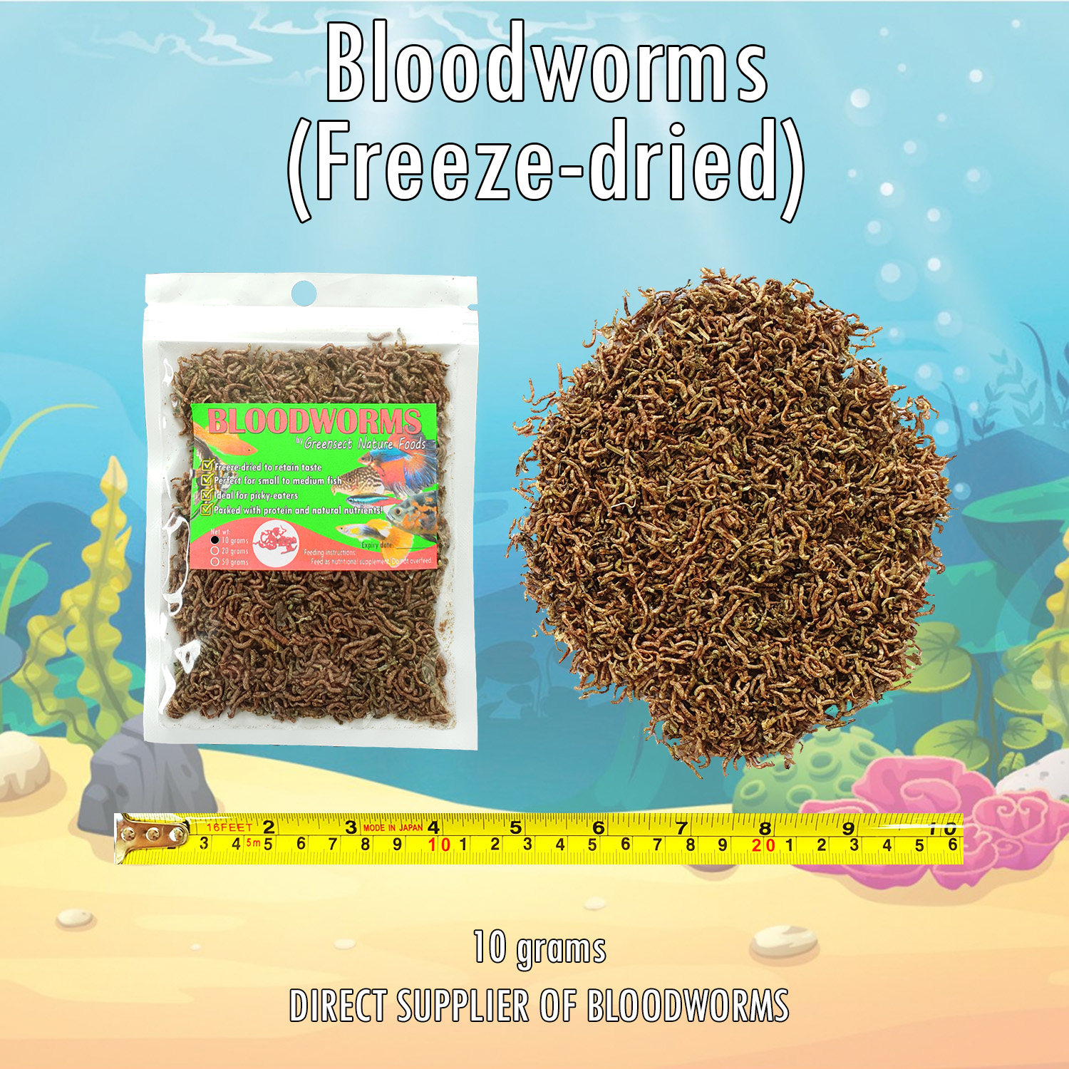 Bloodworms for angelfish sale