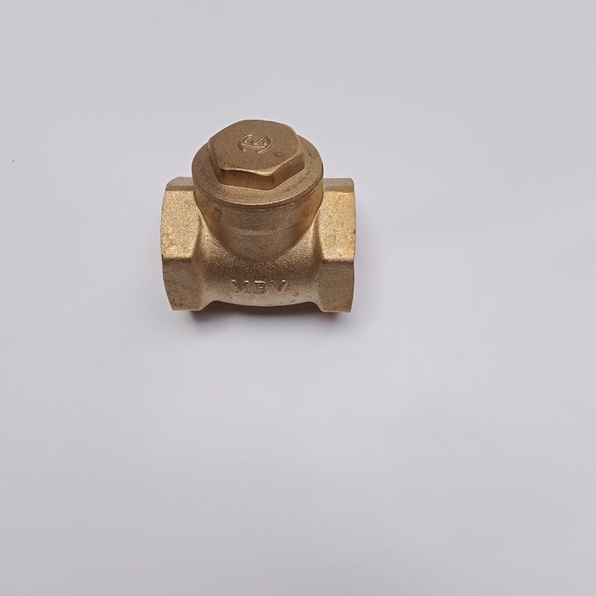 Van Nước Một Chiều Minh Hoà (Van lá lật)