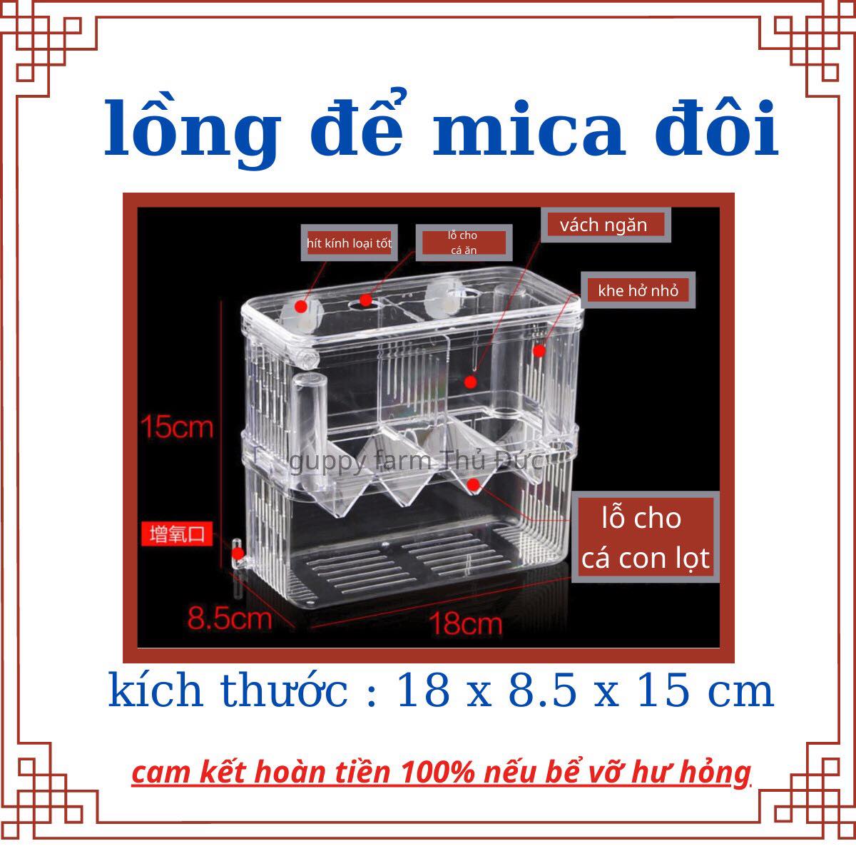 Lồng Đẻ 2 Ngăn Dành CHo Cá 7 Màu(Guppy)
