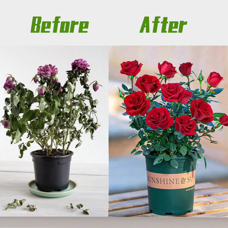 2PCS/set%20General%20Hydroponic%20Nutrient%20Liquid%20A%20and%20B%20Fertilizer%20Solution%20Kit%20for%20Growing%20Flowers%20Food%20Vegetable%20Fruit%20-%20Image%203