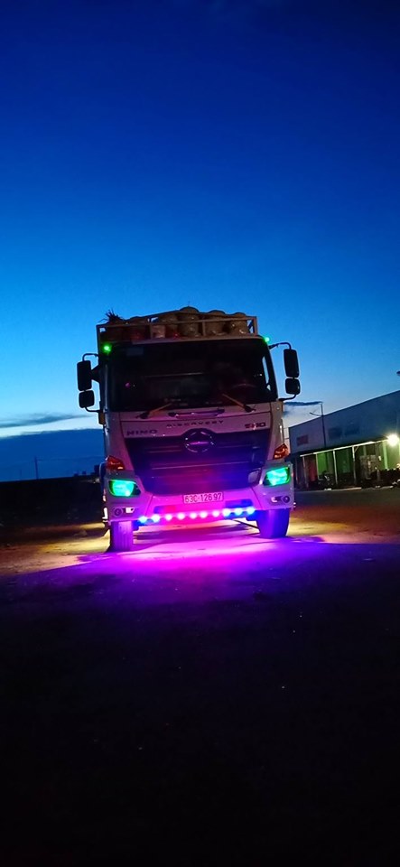 DÂY ĐÈN LED MẮT DÀI  1 DÂY 20 BÓNG