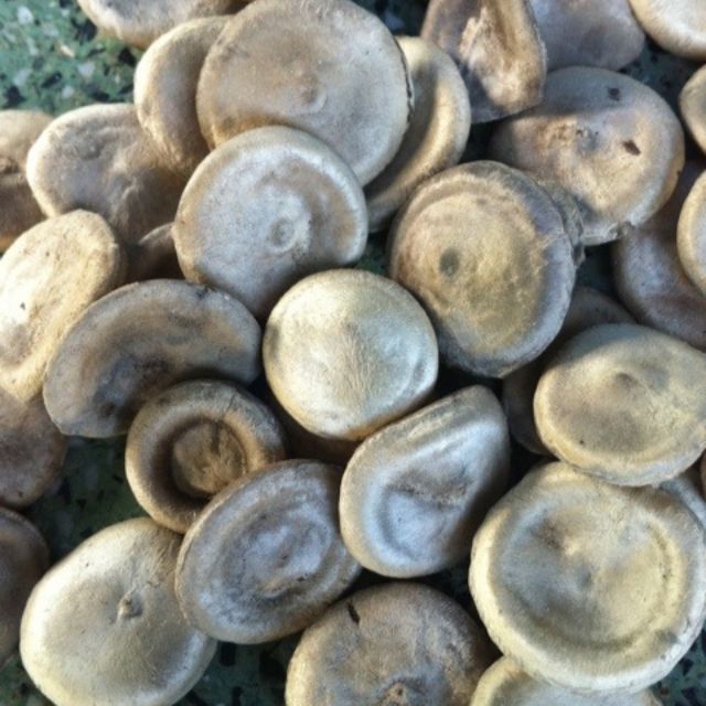 Hạt mã tiền khô 100g - tấn phát