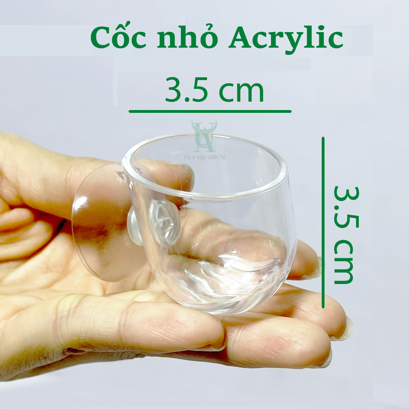Cốc trồng cây thuỷ sinh Mini | Cốc trồng cây Acrylic , thủy tinh