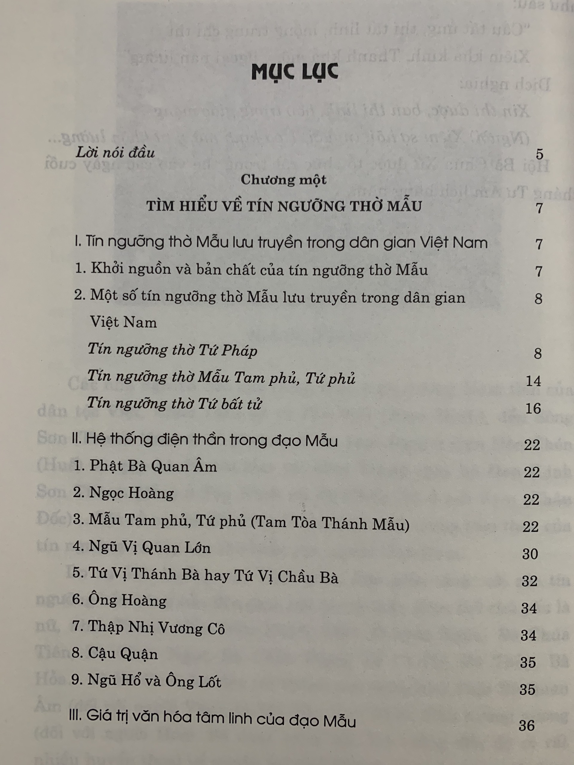 Phong Tục Dân Gian - Nghi Lễ Thờ Mẫu