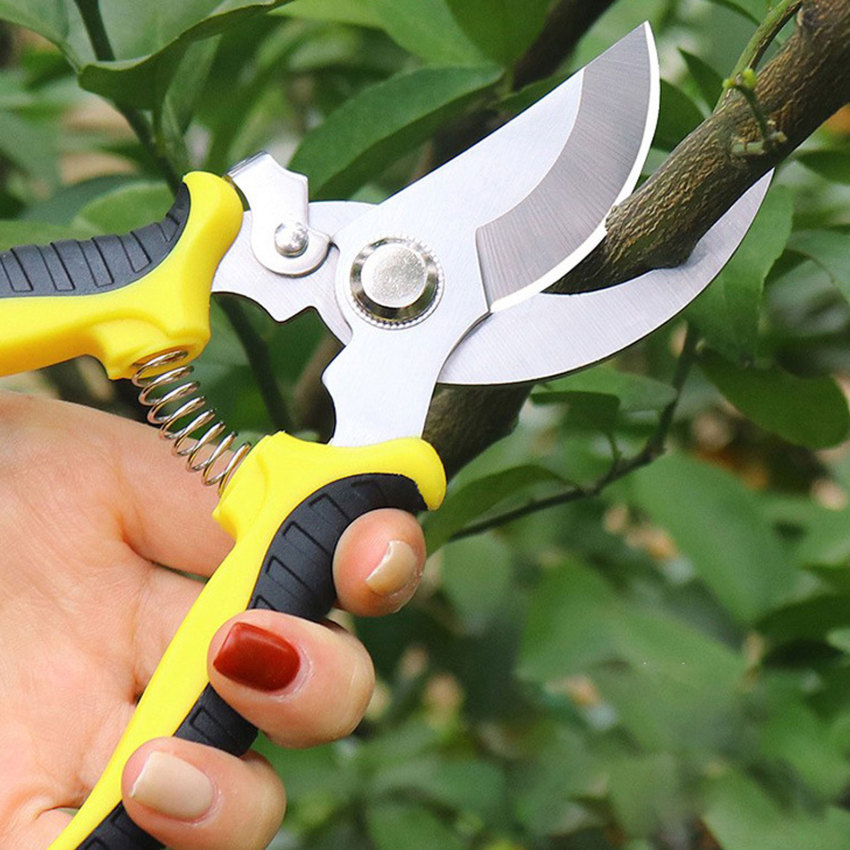 Pruner Garden S/C/I/S/S/O/R/S Professional Sharp Bypass Pruning Shears Tree Trimmers Secateurs Hand Clippers For Garden Beak S/C/I/S/S/O/R/S