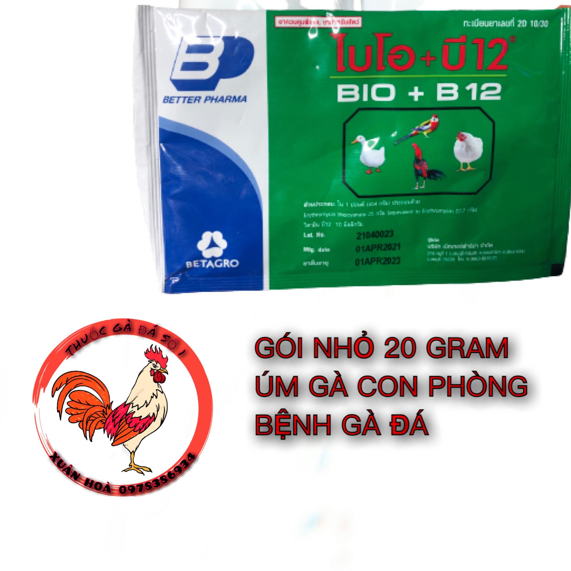 Úm Gà Con số 1 thế giối phòng dịch gà con gà đá