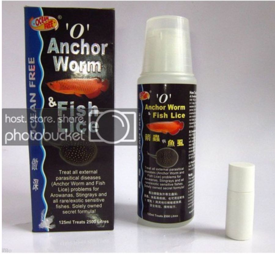 Chai Số 0 - Diệt Trùng Mỏ Neo Rận Cho Cá Rồng, Cá Sam