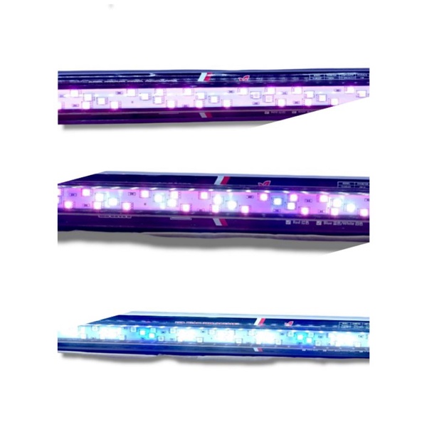 Lampu LED Aquarium Tanning SAKKAI PRO T8 1500
