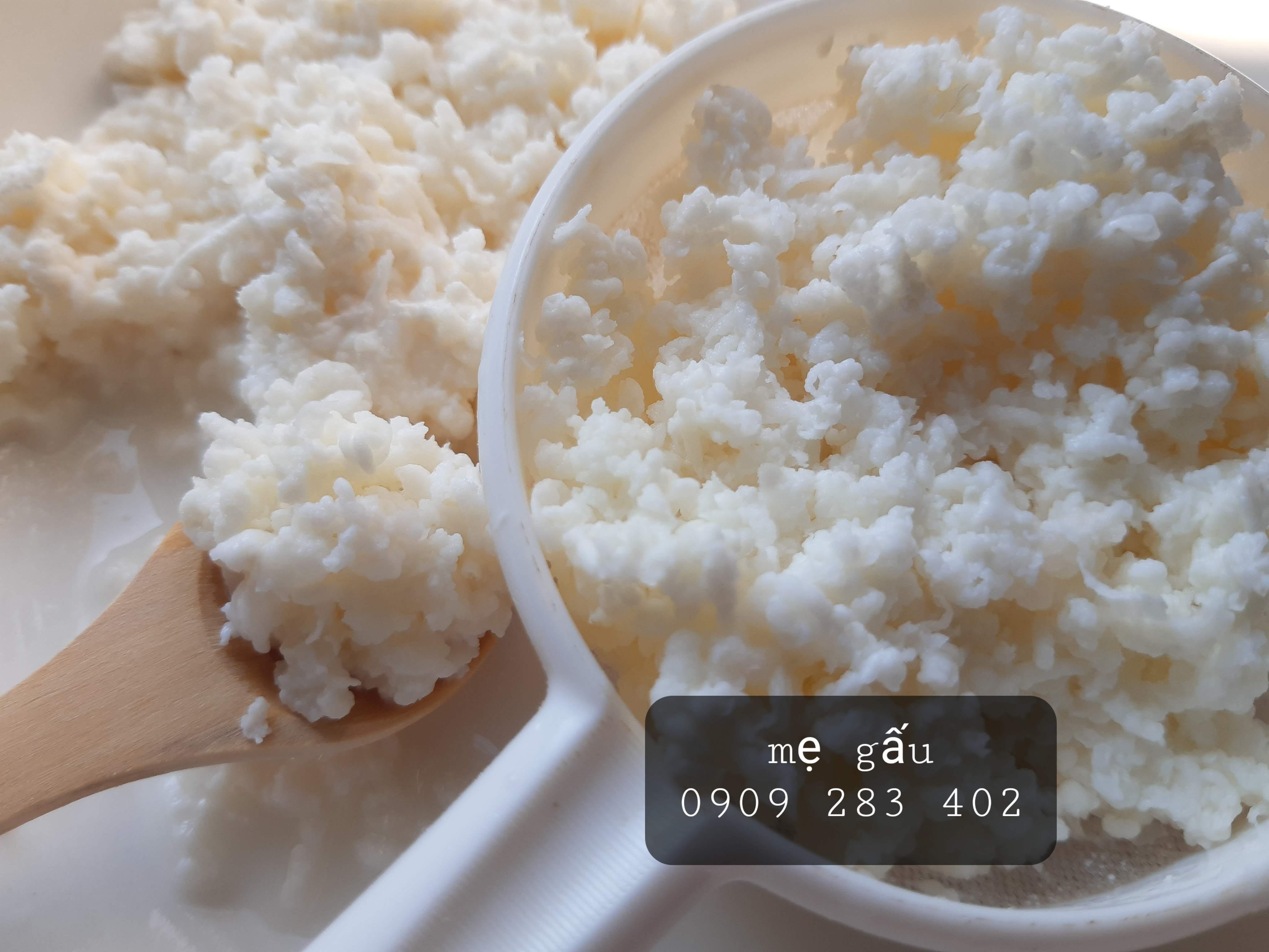 1 phần nấm sữa kefir + 1 muỗng gỗ/sứ