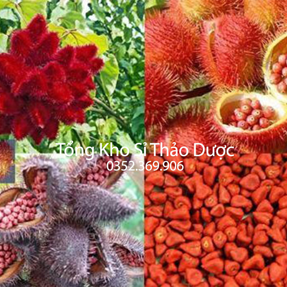 Hạt điều màu 100g (Hạt cari, hạt tạo màu tự nhiên)