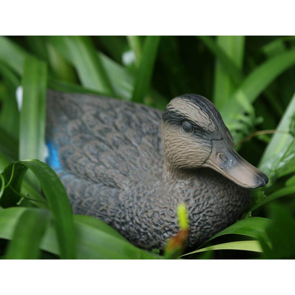 Ulight Duck Decoy A