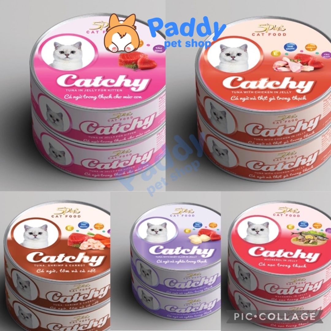 Pate 5Plus Catchy Cho Mèo Mọi Lứa Tuổi (Lon 170g)