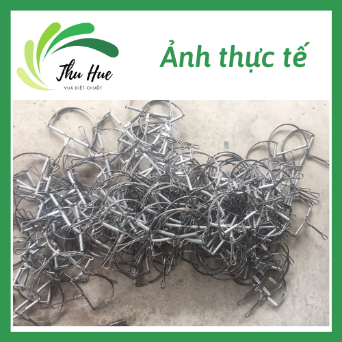 combo 5 chiếc bẫy chuột bán nguyễn cỡ vừa
