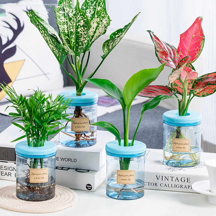 Mini Hydroponic Flower Pot Home Vase Decor Transparent Imitation Glass Soilless Plant Pots Green Plants Pot For Home Decoration