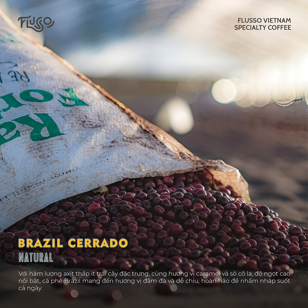 Cà phê Espresso Brazil Cerrado